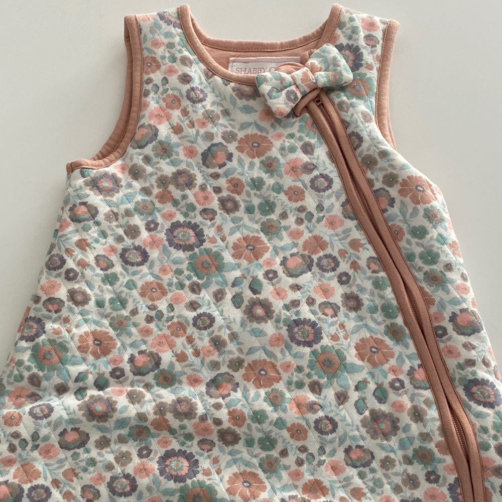 Shabby Chic baby girl Sleep Sack Floral Pastel quilted heavy weight like new
